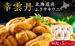 幸雲丹40g(ムラサキ 北海道産)5pc 北海道産 ムラサキウニ 無添加 ミョウバン不使用 生うに熟成製法 熨斗対応_Y038-0157