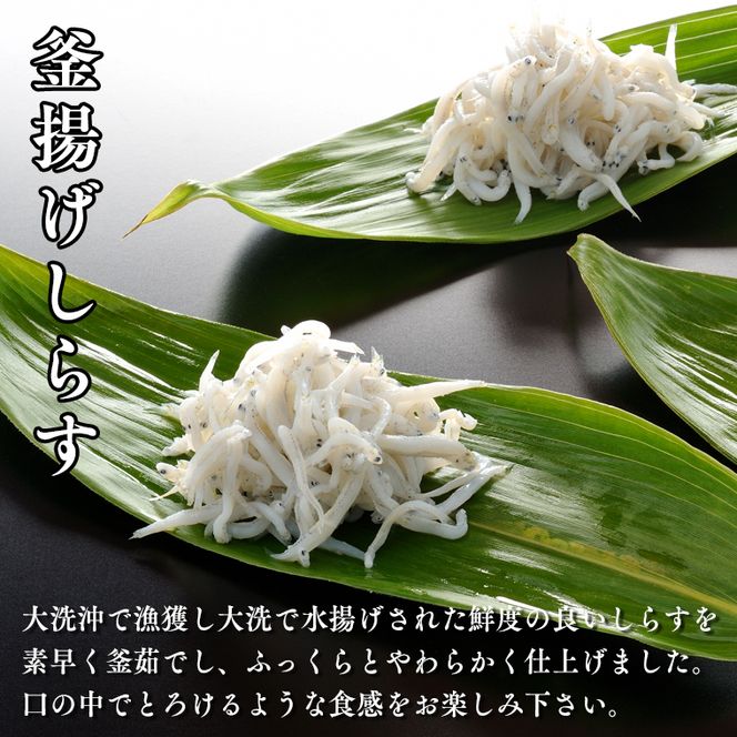 釜揚げしらす 12パック ( 160g × 12パック 約 2kg ) 天然 大洗 しらす シラス 魚 さかな 魚介 離乳食
