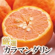 ［先行予約］厳選 カラマンダリン1kg+250g（傷み補償分）［南津海・なつみ］［希少な春柑橘］［みかんと同じように食べられます］［IKE65］ 303446_BB97313
