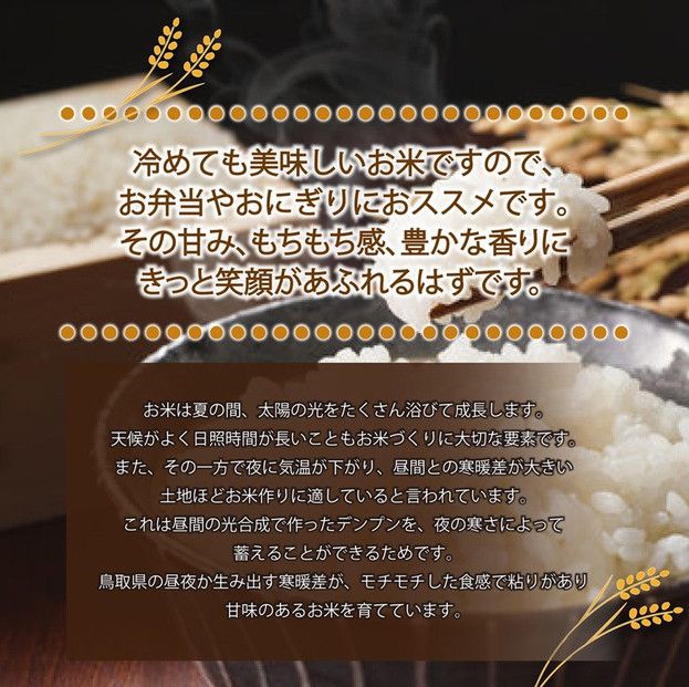 令和7年産　大上農園きぬむすめ　無洗米5kg 313726_CI005