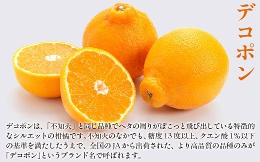 【先行予約】デコポン3kg ※離島への配送不可 （2027年2月10日より順次発送予定） IKTAG005 
