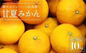 【先行予約】健やかジューシー・夏の味 糸島産甘夏みかんM〜L玉・約10kg 【2026年4月より順次発送】 二丈赤米産直センター[ABB006]