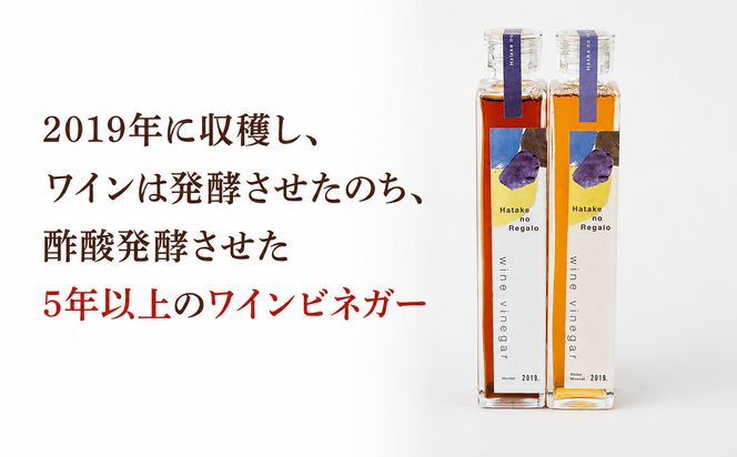ワインビネガー2019年紅白200ml　2本セット 322032_DJ001