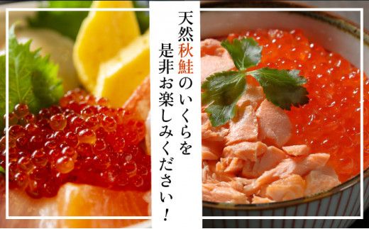 北海道産天然秋鮭 いくら醤油漬け 250g～2kg | 魚貝類 加工食品 250g 500g 1kg 1.5kg 2kg 登別産 海の幸 いくら イクラ 小分け 鮭いくら 鮭イクラ イクラ醤油漬 イクラ醤油漬け 鮭 鮭卵 ikura いくら醤油漬 冷凍いくら 冷凍イクラ いくら北海道 イクラ北海道 醤油鮭いくら 醤油鮭イクラ 2026 人気 ふるさと納税 北海道 登別市