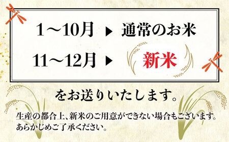 【全12回（月2回）定期便】栽培期間中 農薬不使用のお米 ヒノヒカリ 10kg 糸島市 / シーブ [AHC059]