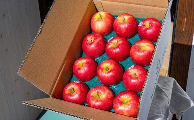 中松井農園 ピンクレディー約3kg 12～15玉 果物 フルーツ りんご 長野県産 信州 信州のリンゴ 酸味 小ぶり 芳醇 風味 クッキングアップル デザート 食後 爽やかな酸味 希少