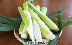 里庄 まこもたけ （3.6kg）【2026年10月上旬～2027年1月上旬出荷】 野菜 マコモダケ マコモ 中華料理 天ぷら 高級食材 送料無料 里庄町