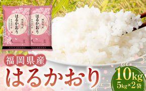 【令和7年産】はるかおり 精米 10kg  ／ ふるさと納税限定 ふるさと納税限定品 お米 米 白米 食品 ご飯 飯 九州 福岡県 香春町