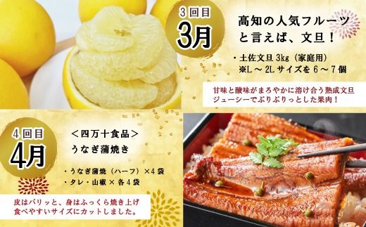 24-614．【年末限定】【8回定期便】四万十の人気グルメお楽しみ定期便 しまんとふるさと定期便10万円Aコース 定期便名カナ	