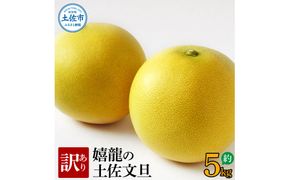 【先行予約】 訳あり 嬉龍の土佐文旦 約5キロ 2L～4Lサイズ 〈2027年1月中旬〜発送〉文旦 ぶんたん ブンタン 柑橘 フルーツ 果物 わけあり わけアリ 傷 シミ 美味しい 高知県産【嬉龍】