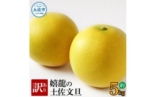 【先行予約】 訳あり 嬉龍の土佐文旦 約5キロ 2L～4Lサイズ 〈2027年1月中旬〜発送〉文旦 ぶんたん ブンタン 柑橘 フルーツ 果物 わけあり わけアリ 傷 シミ 美味しい 高知県産【嬉龍】