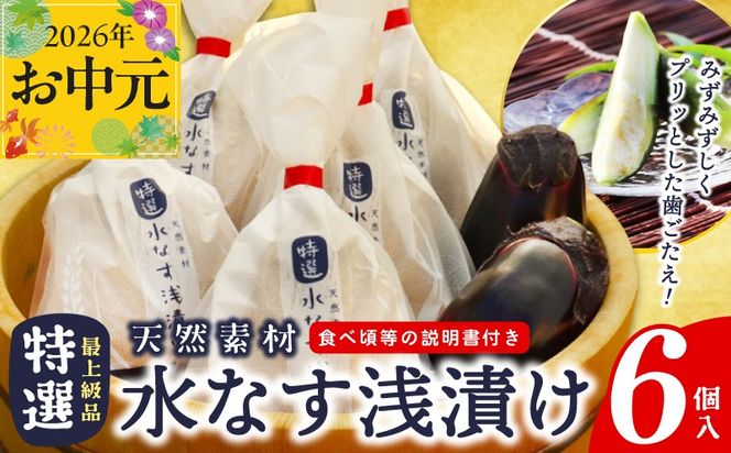 099H4579t 【お中元対応】 「特選最上級品」天然素材水なす浅漬け6個入