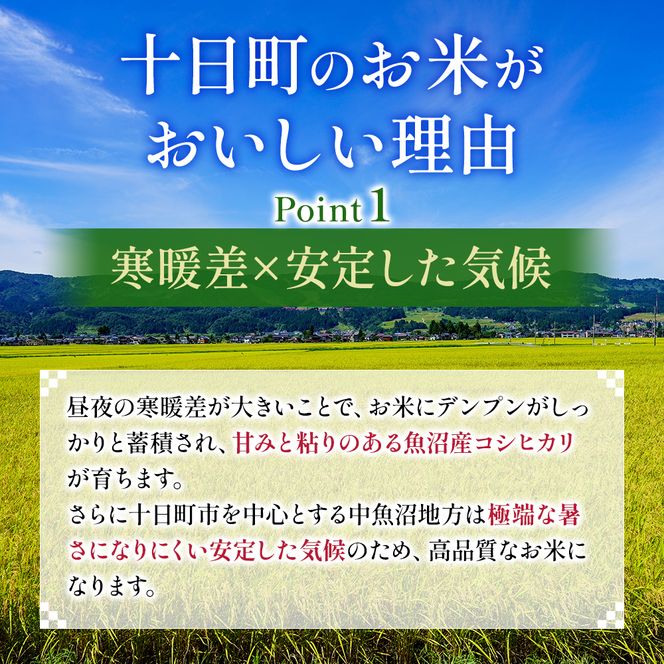 令和7年度産【十日町産】 魚沼産コシヒカリ15kg 米 お米 こしひかり 精米 新潟 