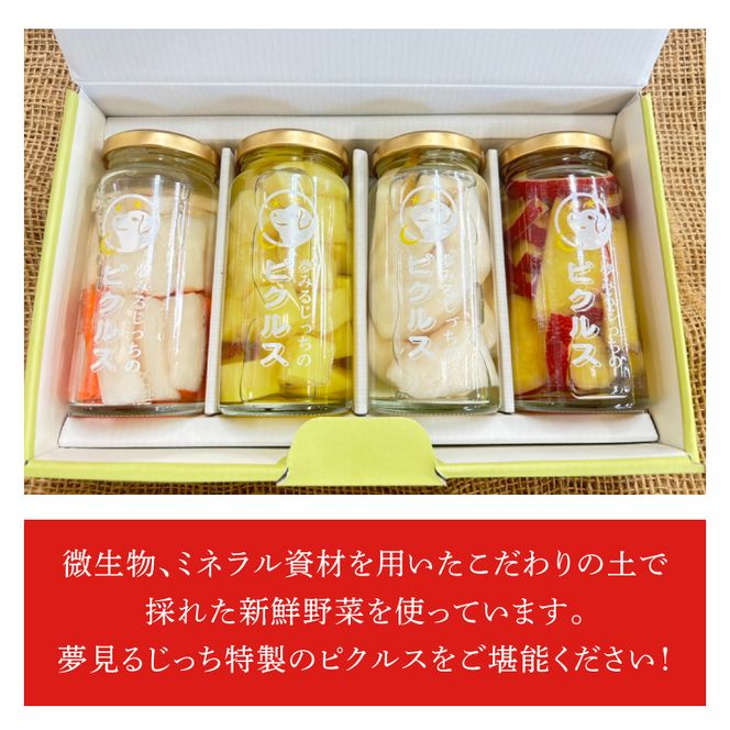 ★月20セット限定★夢見るじっちのピクルス（おまかせ4本セット）｜茨城県 行方市 ふるさと納税 漬物 漬け物 ピクルス 野菜 やさい（CN-13）