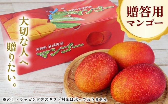 【2027年発送 先行予約】金武町のアップルマンゴー 贈答用 1kg以上（2～3玉）
