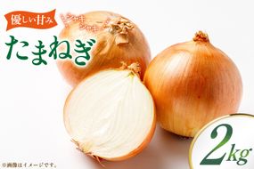 玉ねぎ 2kg [稲生ファーム 富山県 舟橋村 57050219] タマネギ たまねぎ