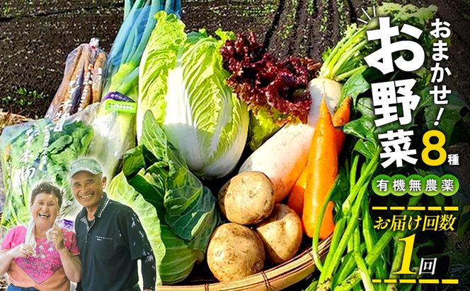特別栽培季節のお野菜セット 8品 野菜 無農薬 有機栽培 新鮮 やさい 旬 詰合せ 国産 宮崎県 九州 送料無料