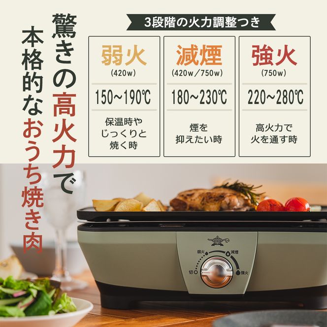アラジン グラファイト ミニグリラー グリーン 緑 アラジングリル ホットプレート 卓上プレート