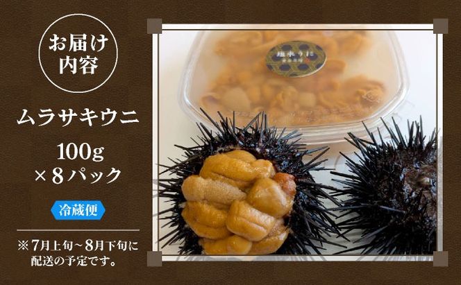 ＜先行予約＞ 北海道産 ムラサキウニ（正規品）800g【ogm-037】生うに 塩水うに ミョウバン不使用 海鮮 国産 北海道 伊達 ふるさと納税