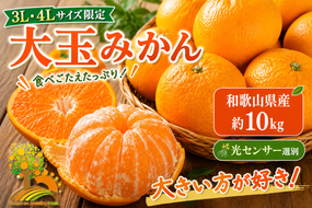 有田みかん 約10kg 大玉3L以上 有機質肥料100% ＼光センサー選別／ 農家直送 