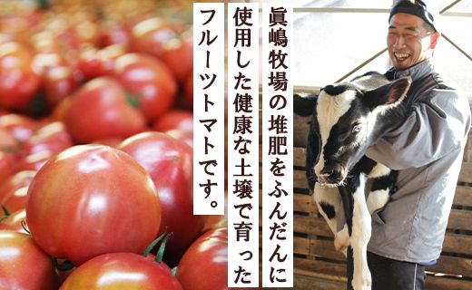 うしの恵 フルーツトマト4箱(650g×4) - 野菜 フルーツ トマト ギフト 料理 アレンジ サラダ 完熟 リコピン 甘い あまい フレッシュ さっぱり 酸味 プチギフト 贈答 お礼 御礼 美味しい おいしい 国産 高知県 香南市 mj-0032