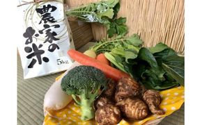 【栽培期間無農薬＆減農薬】お米5kgと野菜セット 【おいしい ごはん やさい セット グルメ 無農薬 減農薬】（KBE-22）