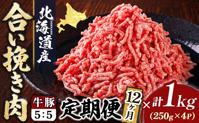 【定期便 12ヶ月連続】北海道産 合い挽き肉 合計1kg（牛5：豚5） 豚肉のコク旨ひき肉｜挽肉 挽き肉 ひき肉です 合挽肉 合挽き肉 豚 肉 豚肉 豚肉ミンチ 合挽豚肉 牛 肉 牛肉 牛肉ミンチ 合挽牛肉 合い挽き 小分け 一人暮らし セット おかず ハンバーグ 冷凍 定期便 肉 絶品 人気 ヒロセ 12回定期便 定期便 12回 北海道 釧路町 釧路超 特産品