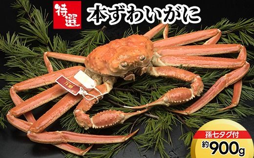 【特選】本ずわいがに約900g（孫七タグ付） ※2025年11月中旬～2026年3月中旬頃に順次発送予定