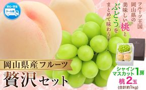 【2026年発送先行予約】桃・シャインマスカット詰め合わせ 約1kg クール便 冷蔵便 桃 もも 葡萄 ブドウ ぶどうシャインマスカット マスカット フルーツ セット 先行予約 晴れの国おかやま館 《2026年8月下旬-9月中旬頃出荷》 フルーツ 果物 果実 岡山県 矢掛町---ofn_chokms_h8_25_19500_10---