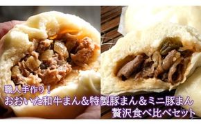 職人手作りの「おおいた和牛まん&特製豚まん&ミニ豚まん 贅沢食べ比べセット」_2564R