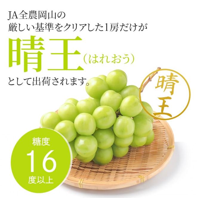 ぶどう 2026年 先行予約 シャイン マスカット 晴王 特選 1房 約700g 大粒 種無し ブドウ 葡萄 岡山県産 国産 フルーツ 果物 ギフト 橋田商店