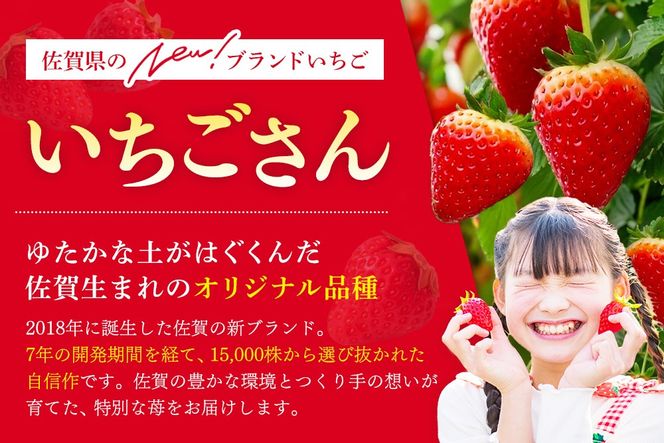 【2027年1月中旬より発送開始】いちごさん4パック【果物 くだもの フルーツ イチゴ 苺 佐賀】(H116133)