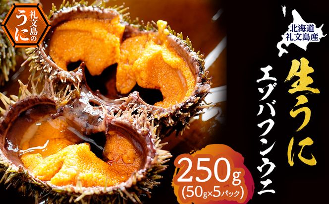 北海道 礼文島産 採れたて ミョウバン不使用 エゾバフンウニ 塩水パック 250g(50g×5個)［株式会社やまじょう］【 うに ウニ 雲丹 生うに 塩水うに バフンウニ 滅菌海水 海鮮 うに丼 濃厚 甘み 】