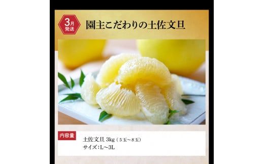 【全3回定期便】土佐市まるごと定期コース〈ハヤシの花ダブル30ロール・土佐文旦3kg・生カツオ藁焼きタタキ3～5人前〉トイレットペーパー 土佐和紙 ぶんたん フルーツ 鰹 かつお たたき 高知県 土佐市【土佐市】[BQCD012]