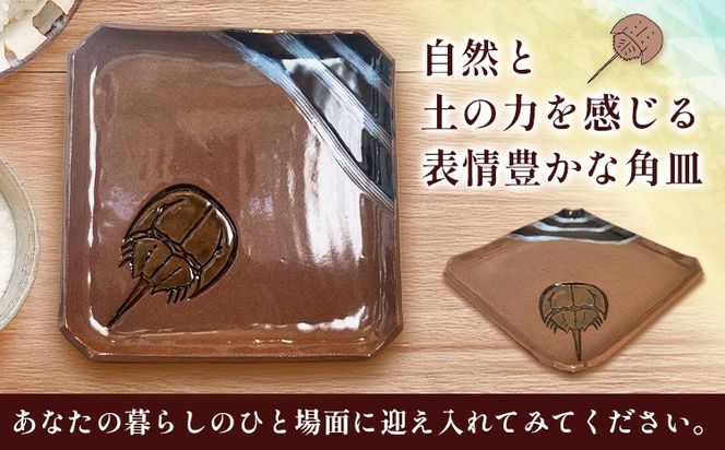 カブトガニ 角皿 吉備焼 21.5cm×21.5cm《30日以内に出荷予定(土日祝除く)》 吉備焼窯元 焼き物 工芸品 工芸 岡山県 笠岡市 お皿 皿---K-65---