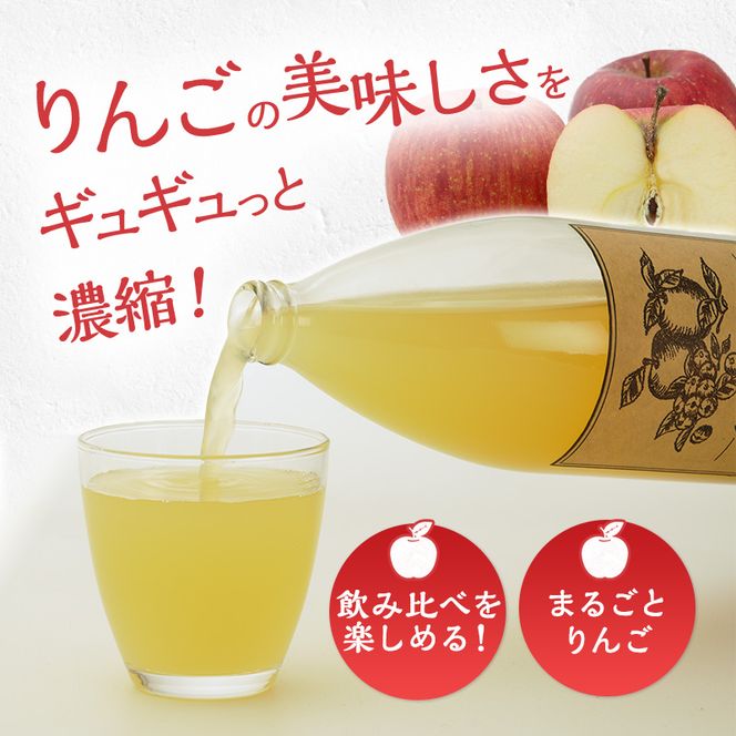 りんごジュース1000ml×2 シナノ2本セット 飲料類 果汁飲料 