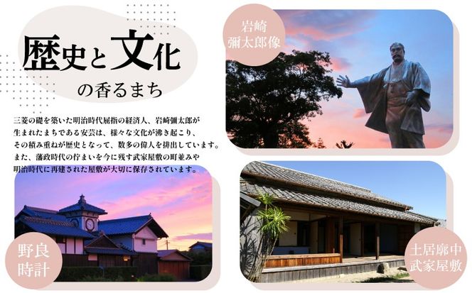 日本酒  純米吟醸 四万十川 1800ml×1本｜純米吟醸 ギフト 父の日 母の日 贈り物 高知県 安芸市 地酒 清酒 酒 プレゼント 誕生日 敬老の日 お祝い 晩酌 酒造 蔵元 こだわり 手造り 国産米 食中酒 お酒 地元 伝統 安芸市 高知県