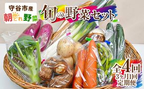 【定期便 4回】【3ヶ月に1回お届け】守谷市産 旬の野菜セット | 野菜 やさい 野菜セット 旬 国産 茨城県産 セット 詰め合わせ 定期 定期配送 冷蔵