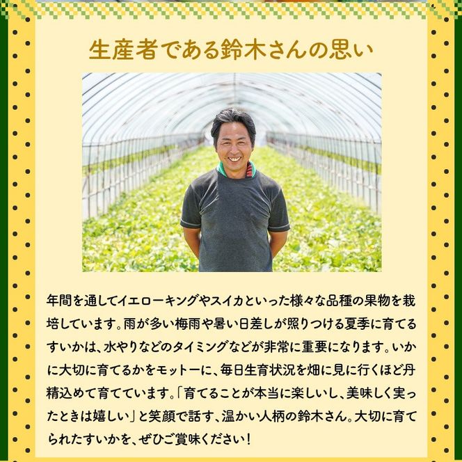 〈予約受付〉【2027年発送】甘さを追求したすいか「金色羅皇」1玉 すいか 甘い 糖度 黄色 果物 フルーツ 数量限定 碧南市 鈴良農園 H141-014