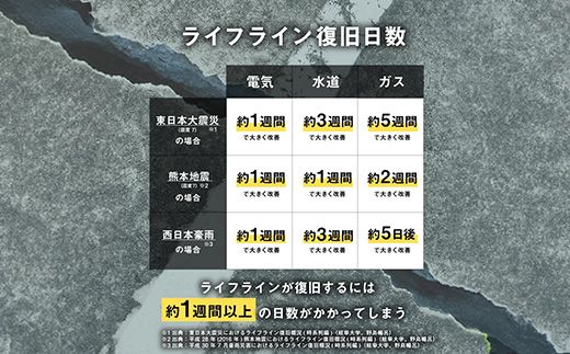イワタニ　カセットガス　専用ボックス入り 12本組 CB-250-OR-12BOX【FI10W】