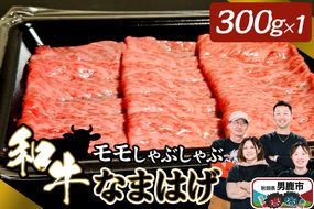 和牛なまはげ モモしゃぶしゃぶ 300g 大進農場|23_dsf-050301