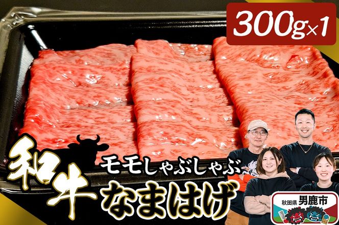 和牛なまはげ モモしゃぶしゃぶ 300g 大進農場|23_dsf-050301