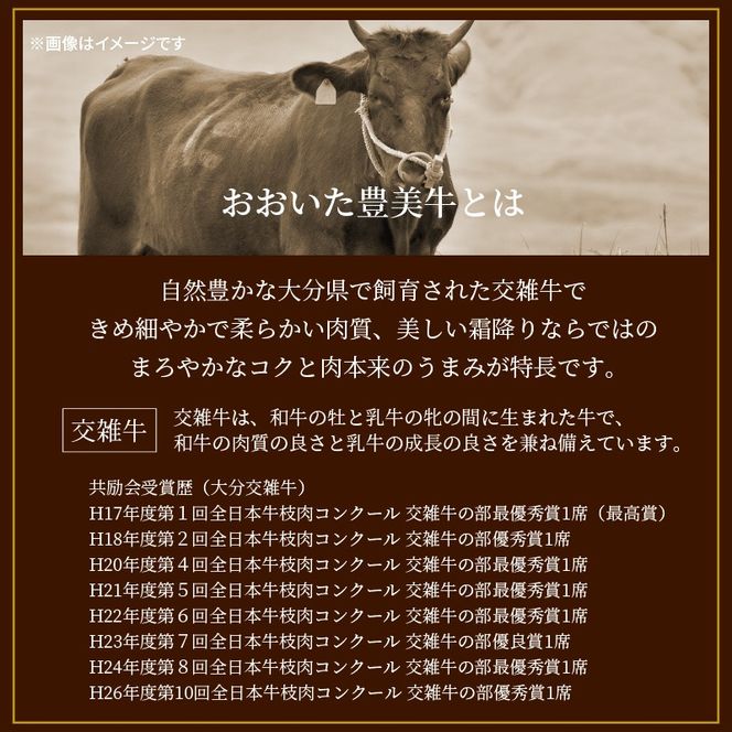おおいた豊美牛切り落とし 600g (300g×2P)_2264R