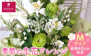 季節の生花アレンジ　Mサイズ 【 フラワー アレンジメント お花 ギフト プレゼント 贈り物 誕生日 お祝い 神奈川県 小田原市 】 142069_HQ002