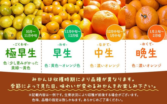 訳あり それでも 有田みかん 箱込 10kg (内容量約 9.2kg)  サイズミックス B品 有田みかん 和歌山県産 産地直送 家庭用［2025年11月中旬より順次出荷予定］［みかんの会］ AX210
