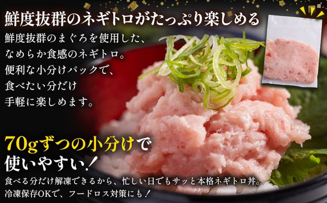 ネギトロ 定期便 訳あり 計1050g 70g×15袋 2回 ねぎとろ まぐろ マグロ たたき 配送回数 定期便 小分け 海鮮 魚介 冷凍食品 加工品 手巻き寿司 海鮮丼 刺身 おかず おつまみ 郷土料理 刺身 株式会社大熊 高知県 香南市 冷凍 Wda-0024