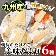 たけのこ美味だより(6種)国産 加工品 惣菜 弁当 おかず 筍水煮 たけのこご飯の素 簡単調理 贈答 ギフト プレゼント【上野食品】a-12-24-z