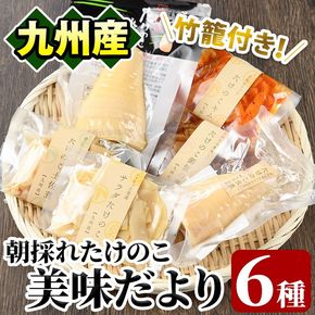たけのこ美味だより(6種)国産 加工品 惣菜 弁当 おかず 筍水煮 たけのこご飯の素 簡単調理 贈答 ギフト プレゼント【上野食品】akn008-03