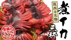 筑西市名物 煮イカ（三杯） いか 筑西 茨城 ソウルフード ご当地グルメ 名物 海鮮 魚介 冷凍 ［BW090ci］