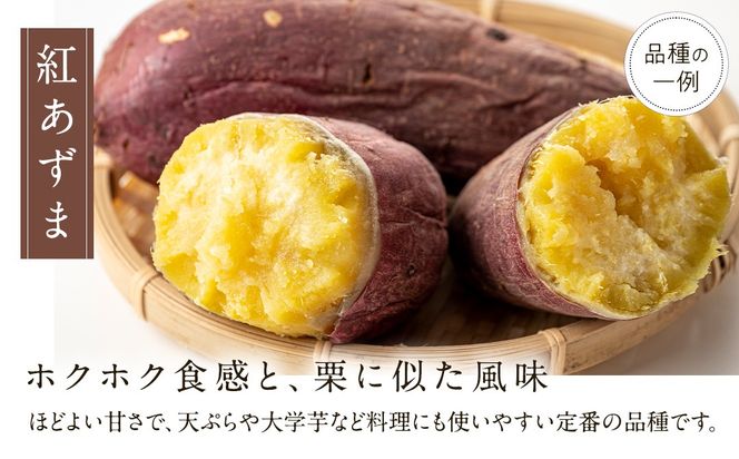 さつまいも の 食べ比べ 3品種（3kg）【2026年10月から発送開始】 （茨城県共通返礼品 [さつまいも]：行方市産） 生芋 芋 いも 野菜 べにはるか 紅あずま シルクスイート 紫芋 [BI415-NT]